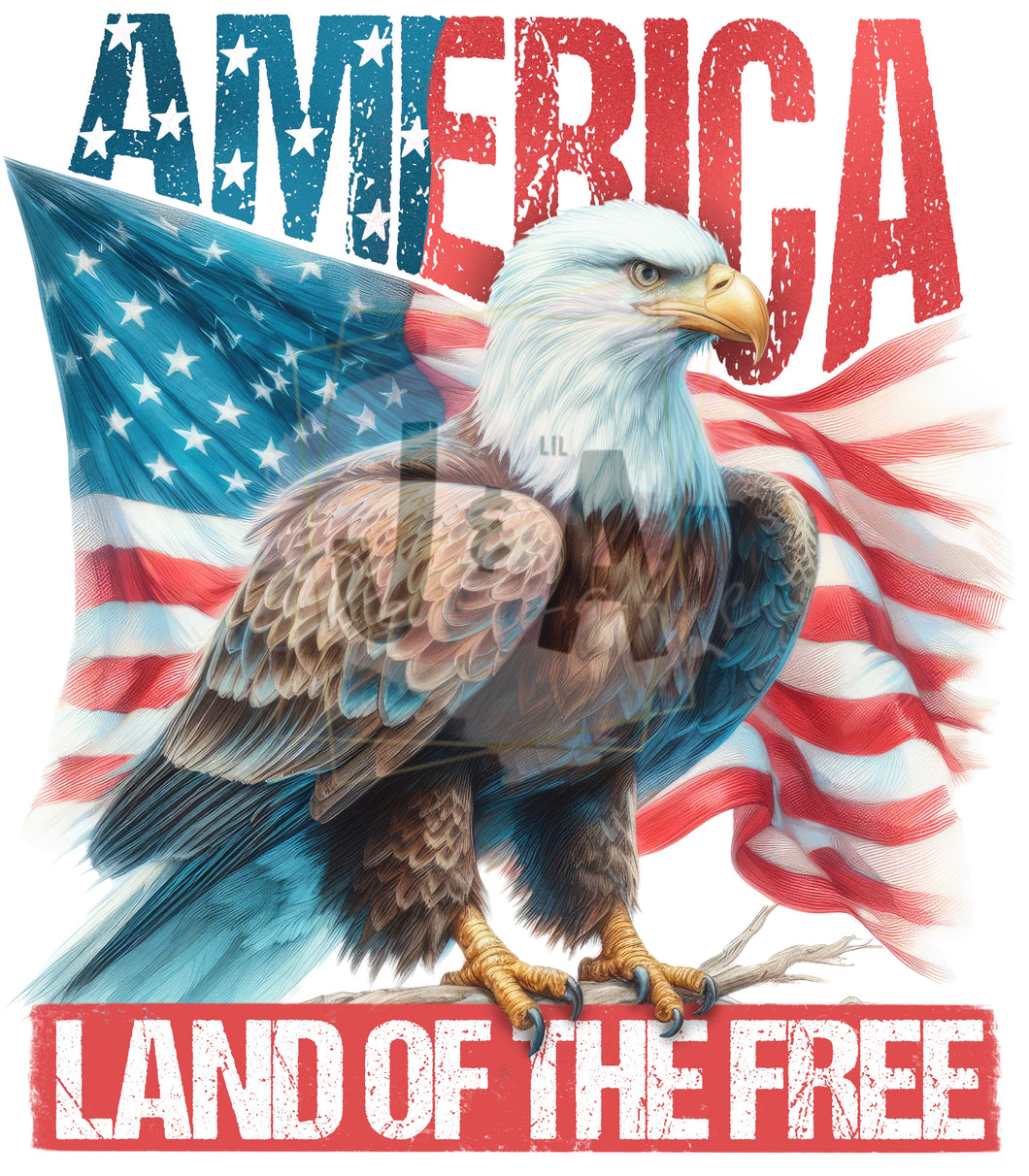 America Land of the Free